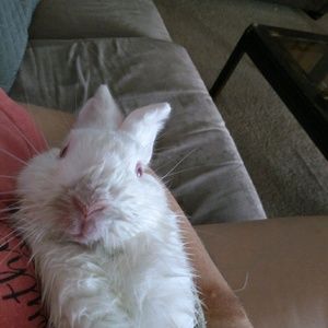 Meet your Posher, Donna